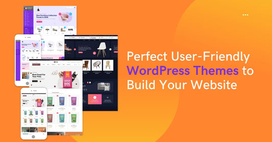 User-Friendly WordPress Themes