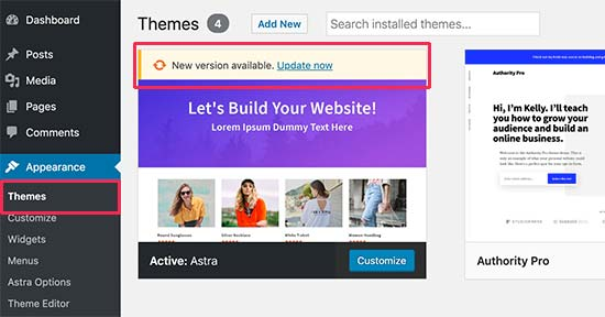 Screenshot for Themes Update in WordPress